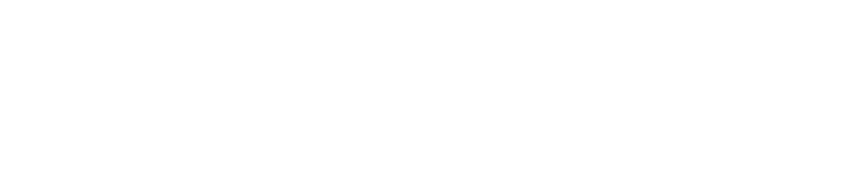 Foton Tunland G9 Logo